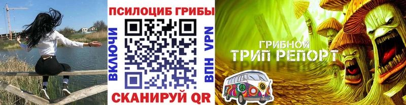 Псилоцибиновые грибы Cubensis  Иваново 